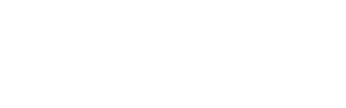 Renault Dacia Seurre